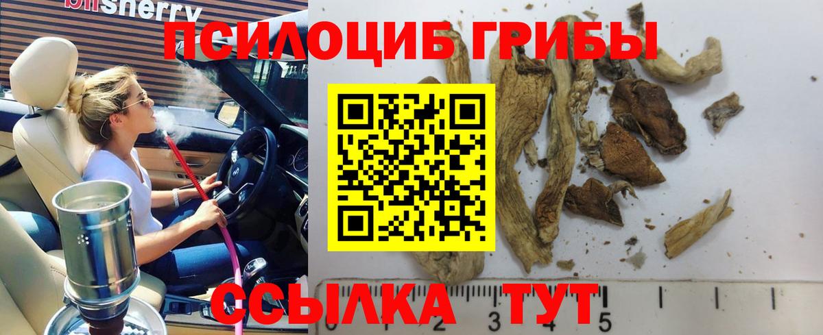 Галлюциногенные грибы Psilocybe  Вход с VPN  Псилоцибиновые грибы Cubensis  Сердобск 
